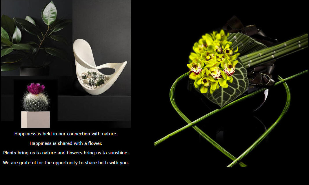 The Chocolate Tulip Floral and Interior Plant Design  Studio