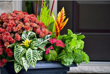 Seasonal Planters Toronto