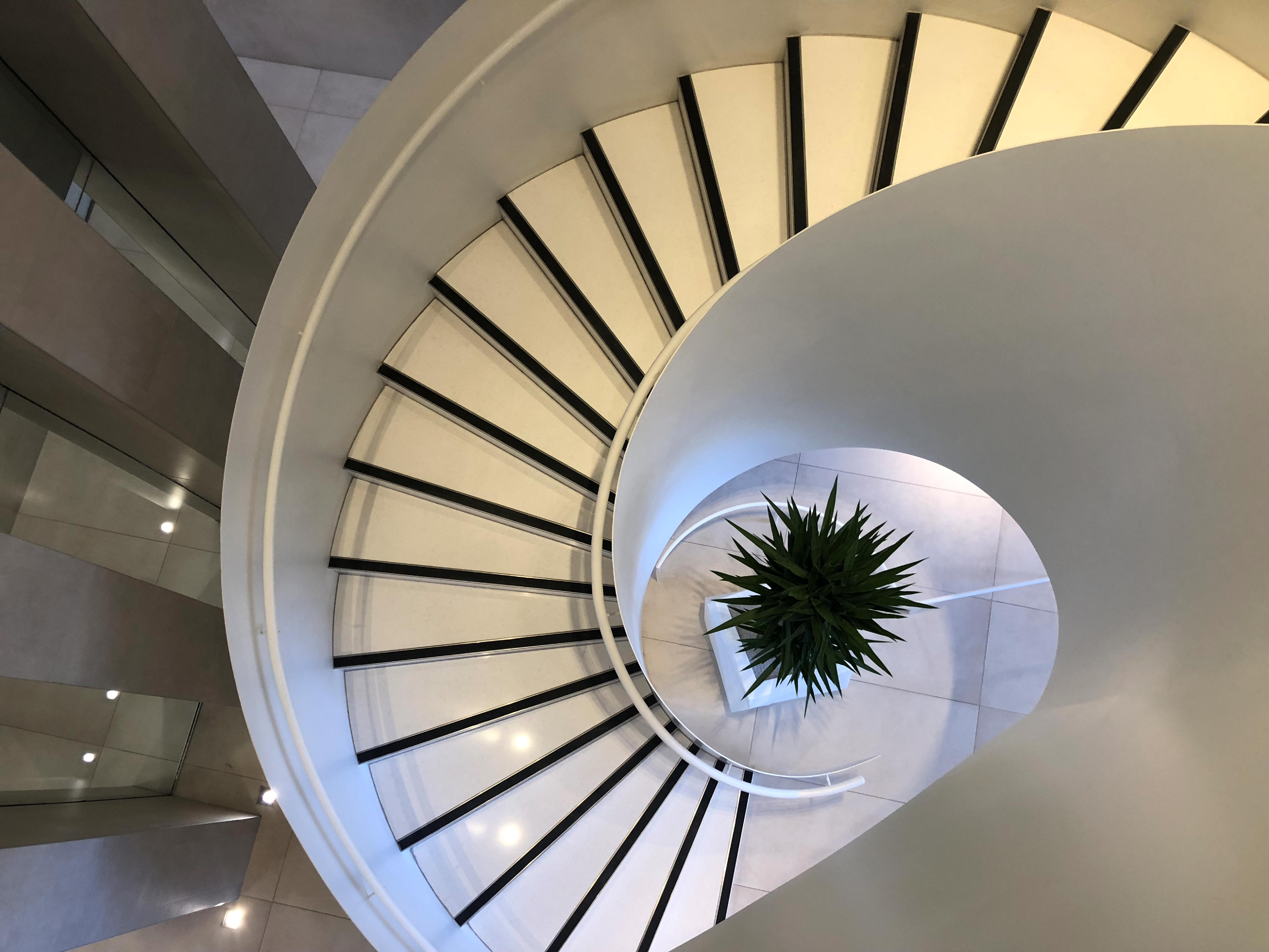 Lobby plants Toronto