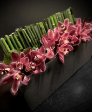 Modern orchid arrangement | The Chocolate tulip