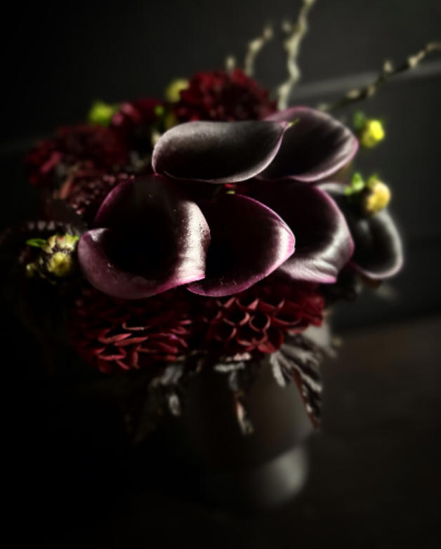 Toronto's Best Florist  | The Chocolate Tulip